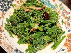 橄榄油拌丝瓜苗-芙蓉十九·新湘菜