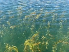 -抚仙湖禄充风景区