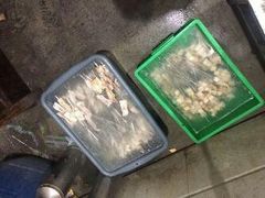 -清真·老金烧烤·小龙虾(奥体中路店)