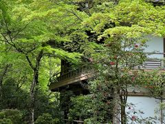 -三千院