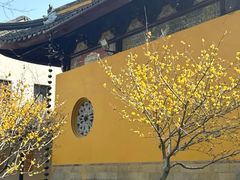 -西园寺素食(西园弄戒幢律寺店)