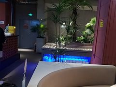 -芸山季·云南山珍菌火锅(宝能环球汇店)