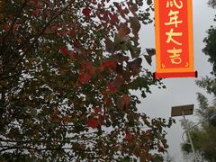 -净行天厨(莲塘总店)