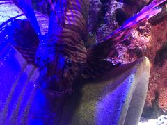 -沈阳海洋探索中心