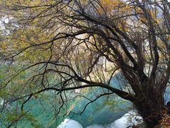 -叠溪松坪沟景区