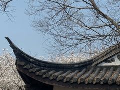 -范蠡湖公园