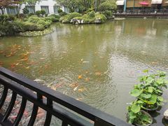 -苏苑饭店-中餐厅(长桥地区店)