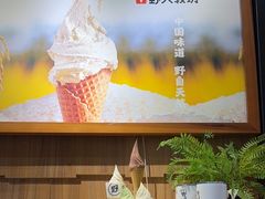 -野人先生现做冰淇淋(北京顺义祥云小镇店)