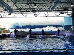 -秦皇岛乐岛海洋王国