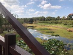 -同里国家湿地公园