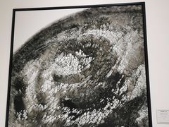 -深圳市当代艺术与城市规划馆