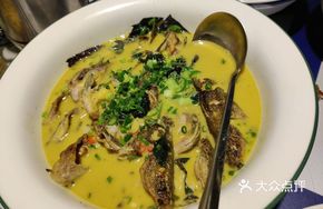 Dongjiang Yellow Catfish