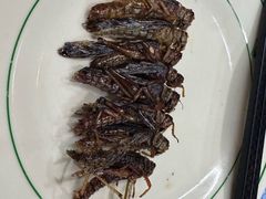 -巴犀烧烤(新崇光店)