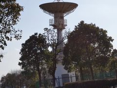 -南湖湿地公园