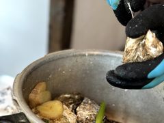 -乔街深夜食堂·台州菜·高压锅生蚝(杭州总店)
