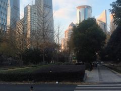 -上海中心大厦