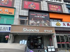 -雾与山茶(大禹城店)