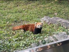 -广州动物园