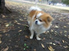 -辽宁大学(崇山校区)