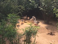 iphone_upload_pic-沈阳鸟岛