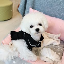 -肌理言健康美肌驻颜所