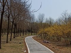 -鉴湖国家城市湿地公园