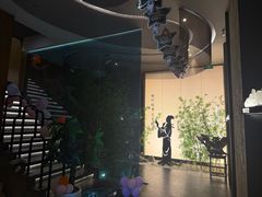 -新紫霞养生·影院足道·SPA(金山区店)