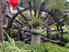 -青城甲(青城山店)