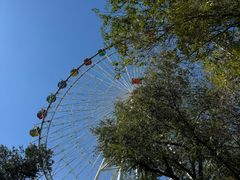 -青城公园