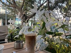 -Manner Coffee(龙岗CC创意园店)