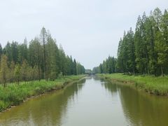 -黄海国家森林公园