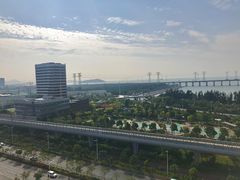 -宝安西湾红树林湿地公园