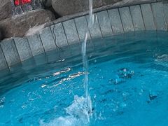 -余姚阳明温泉山庄