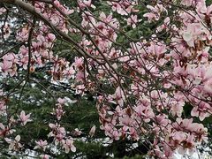 -白塘生态植物园