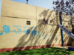 -秦皇岛乐岛海洋王国