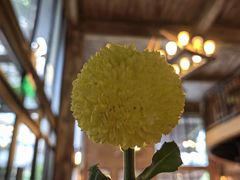 -旧雨咖啡·CoffeeFORU(黄村奥体店)