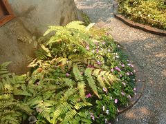 -Chom Cafe and Restaurant