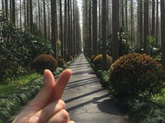 -上海怡沁园度假酒店