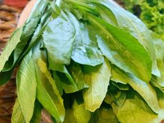 -慢丽江·云南野生菌土鸡锅(西山店)