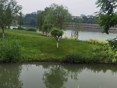 -眉山湿地公园(东坡区)