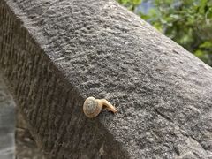 -白帝城·瞿塘峡景区