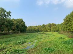 -上海海湾国家森林公园