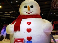 -宁波冰雪大世界(北仑区)