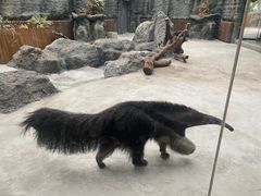 -武汉动物园