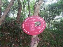 -杭州少年儿童公园