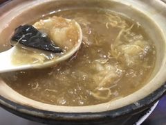 招牌花胶海参煲仔翅-添發碗仔翅美食