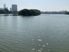 -惠州西湖丰渚园
