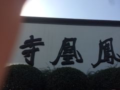 -凤凰寺