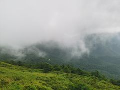-秦岭风景区