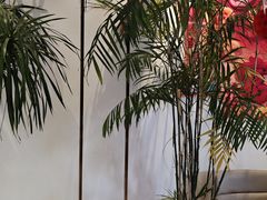 -LA JOLLA 墨西哥餐厅(学院路店)